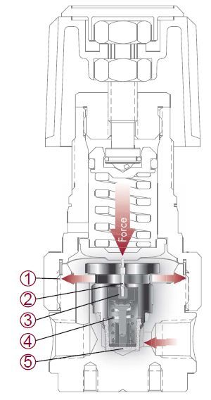 CONCOA˾Capsuleg(sh)Dʾ
