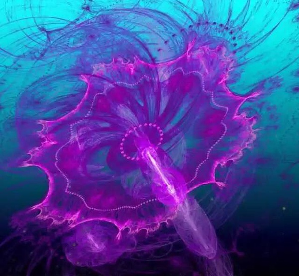 ˮĸͺˮһ